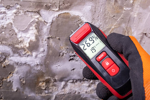 Best Post-Flood Mold Remediation in North Middletown, NJ