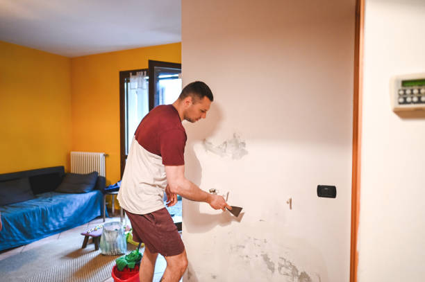 Best Commercial Mold Remediation in North Middletown, NJ